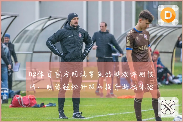 ng体育官方网站带来的游戏评测技巧，助你轻松升级和提升游戏体验