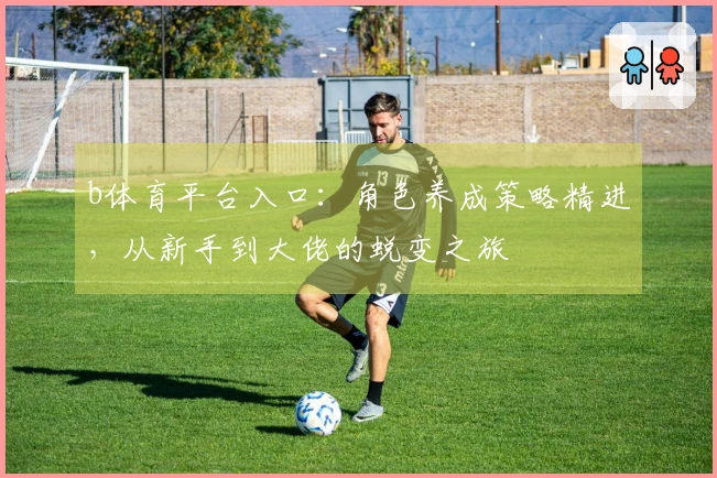 b体育平台入口：角色养成策略精进，从新手到大佬的蜕变之旅