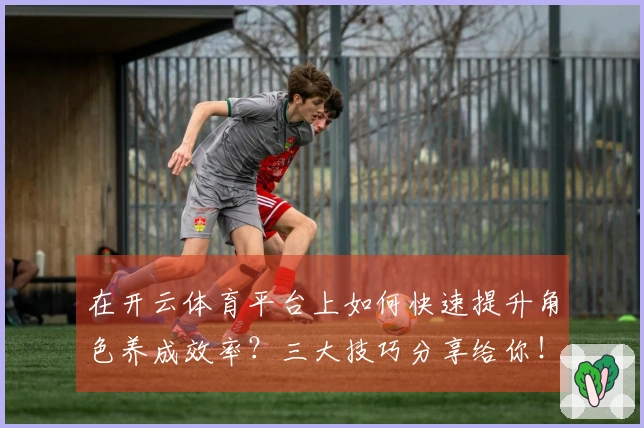 在开云体育平台上如何快速提升角色养成效率？三大技巧分享给你！